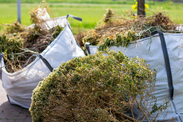 Best Junk Removal Near Me  in Shannon, GA